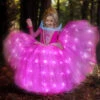 Aurora Costumes Princess Light Up Dress Kids Party Dress LED Birthday Dress