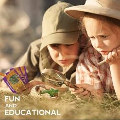 Dinosaur Eggs Dig Kits -12 Dinosaur Excavation Kits With 12 Unique Dinosaur Toys 12 Dinosaur Eggs Dig Kits -12 Dinosaur Excavation Kits With 12 Unique Dinosaur Toys -Sun Baby Sales Store DinosaurEggsDigKits 7