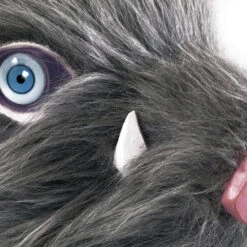 Hashibira Inosuke Cosplay Costume Apron Pants With Plush Skirt Halloween Carnival Unisex Outfits -Sun Baby Sales Store HashibiraInosukeMask 2 720x 2793643e da64 48ea b246 f8d233945c61