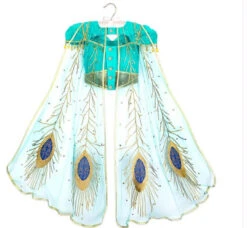 New Princess Costume Cosplay Clothes For Girls Adult Halloween Party 17 New Princess Costume Cosplay Clothes For Girls Adult Halloween Party -Sun Baby Sales Store JasminePrincessDresses 6